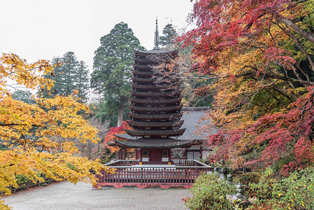 秋天在日本纳拉县坦背景图片