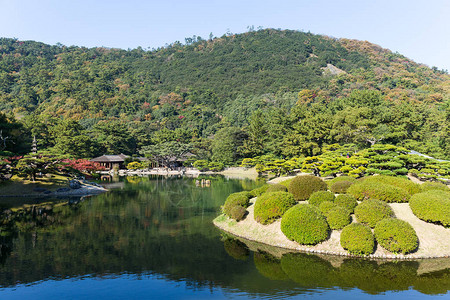 美丽的日本花园背景图片