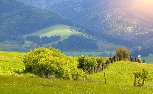 山丘上的绿草夏季山地景观日光束和透光照明图片