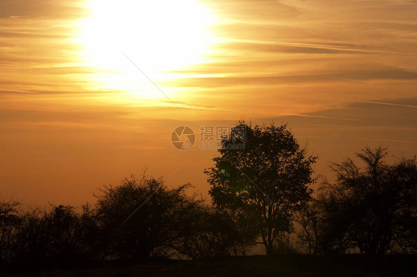 秋日夕阳与孤树的形象图片