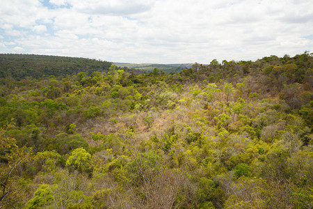 公园雨林景观图片