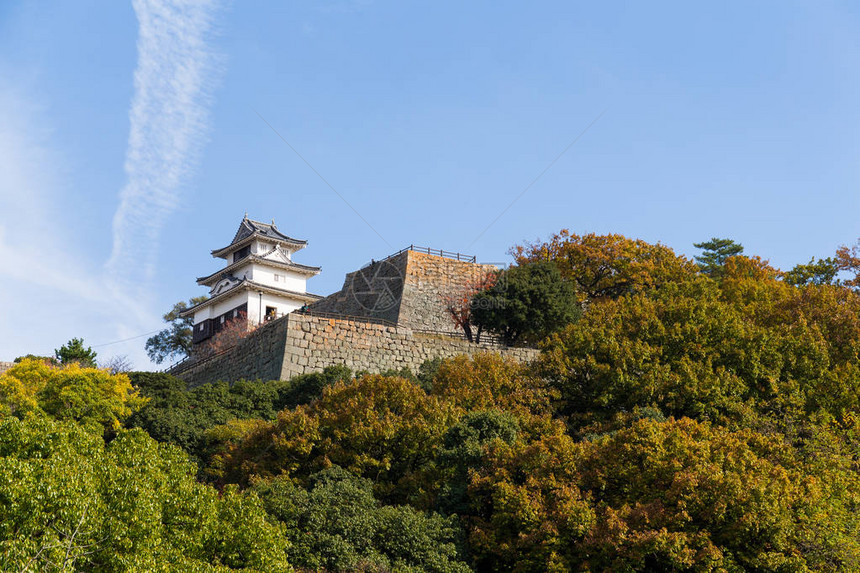 日本秋天的丸龟城图片