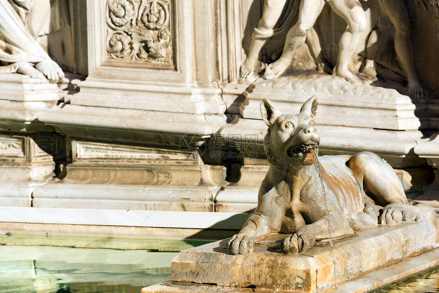 锡耶纳的象征PiazzadelCampo图片