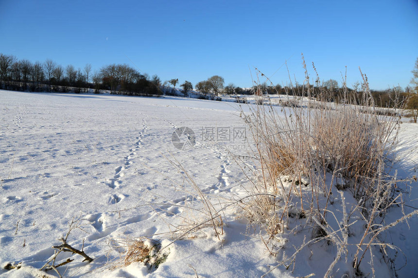 有田野和草地的冬季景观霜天图片