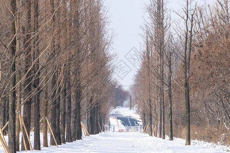 哈尼尔城市风景高清图片