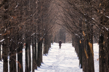 在南朝鲜汉勒公园Seoul的雪中高清图片