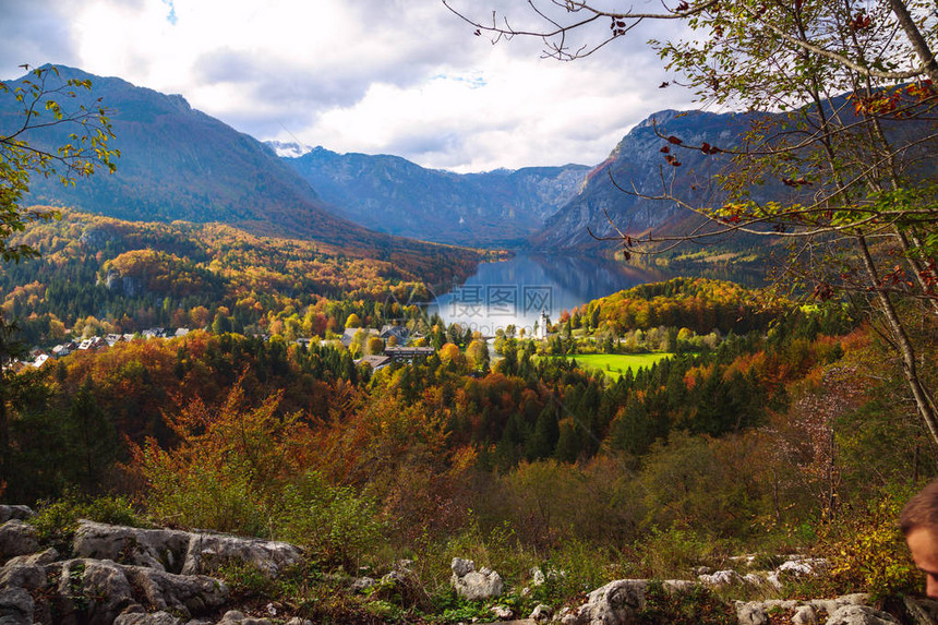 Alps的Bohinj湖空中观察图片