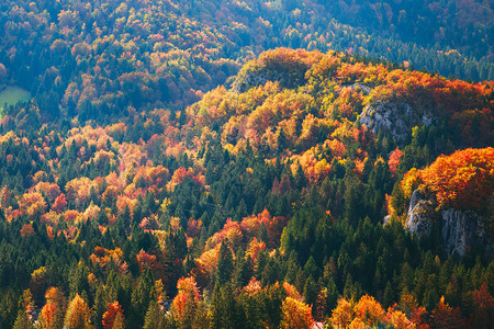 斯洛文尼亚山地秋天风景与丰图片