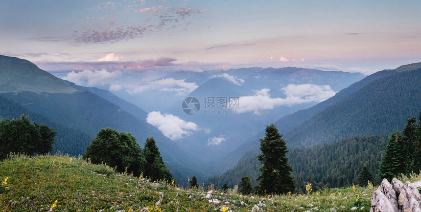 高山草原和山区森林的全景观图片