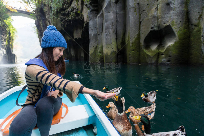 在高千穗峡谷喂鸭和乘船旅行的女人图片