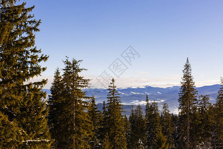 阿尔卑斯山冬季山林的梦幻般的冬季全景高清图片