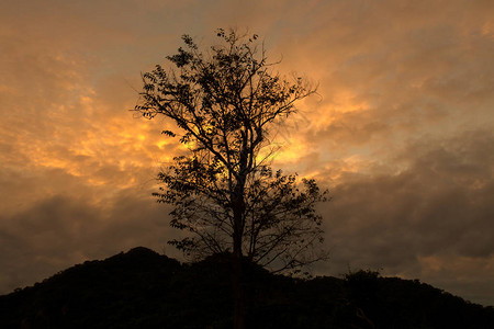 山上的日落树剪影图片