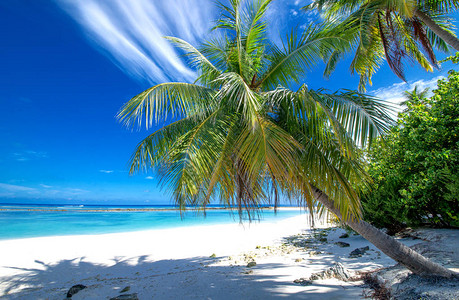 马尔代夫的热带海滩图片