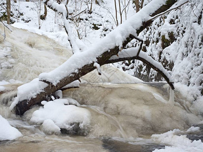 冰冻的瀑布冰雪树枝和冷冻气流泡沫中的冰块图片