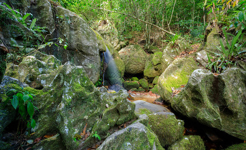 Mangabe岛的雨林瀑布图片
