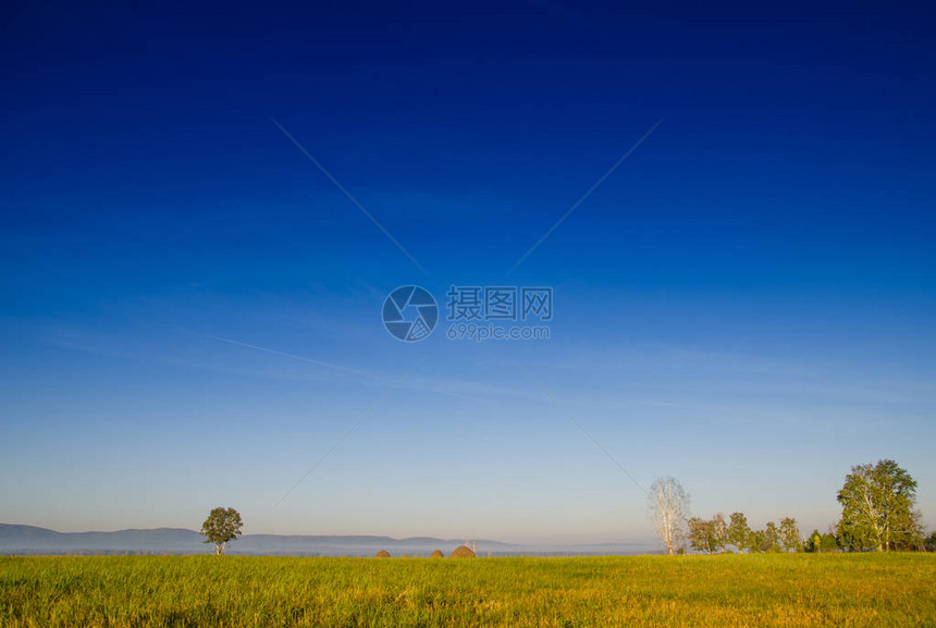 晨雾中的白桦林和绿色草地蓝天白云图片