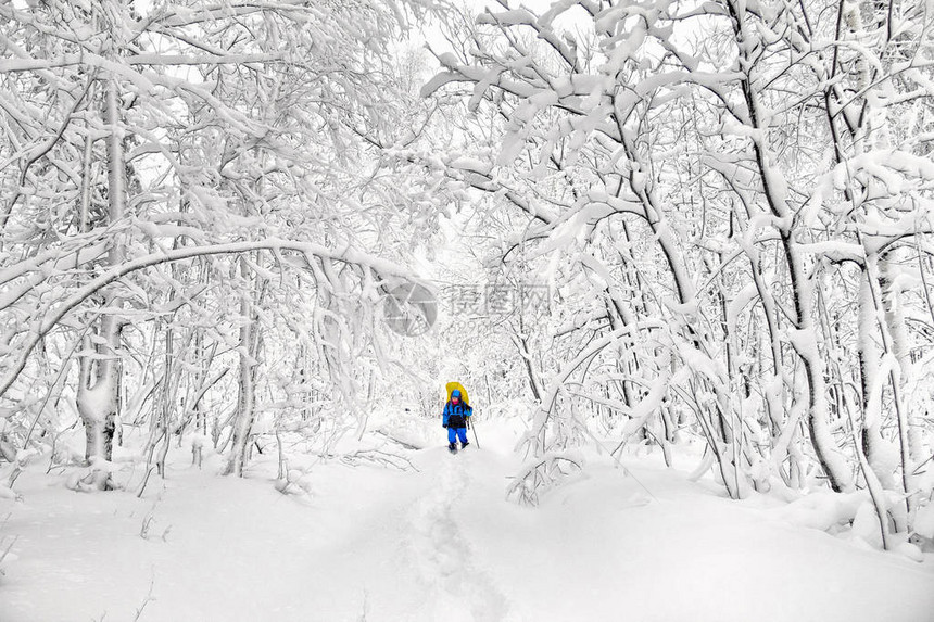 在大雪暴风雨后冬季森林的足迹上带图片