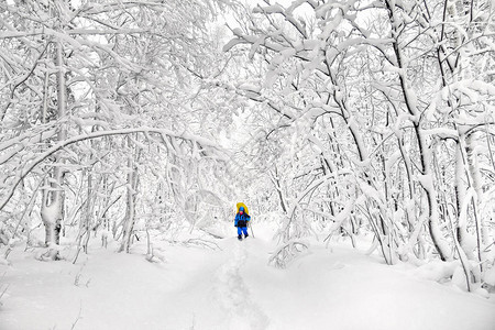 在大雪暴风雨后冬季森林的足迹上带图片