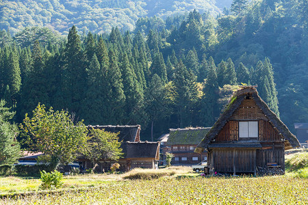 传统和历史的日本村庄白川乡图片