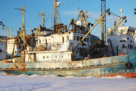 冷冻的海洋港口船只图片