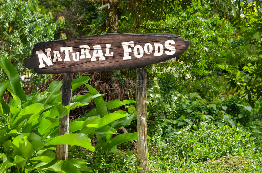 绿色丛林背景下的天然食品木质标志图片