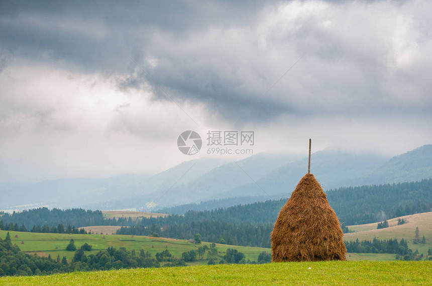 高山草甸上的干草堆图片