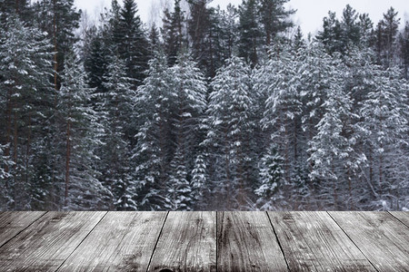 森林中寒雪的冬天图片