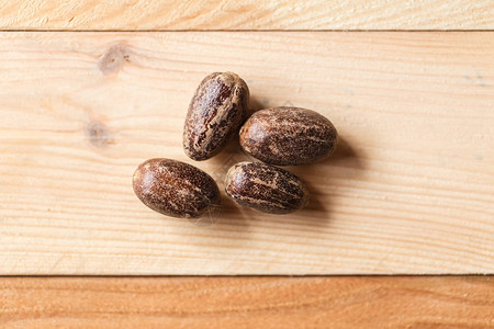 干Nutmeg印度食品中医用草药或阿洛图片