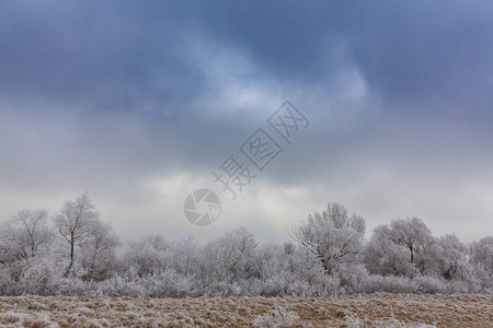 美丽的冬季风景冰霜覆盖着树图片