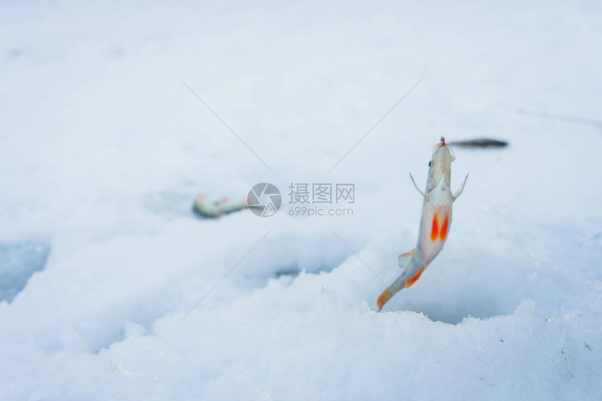 冬季捕鱼躺在冰上图片