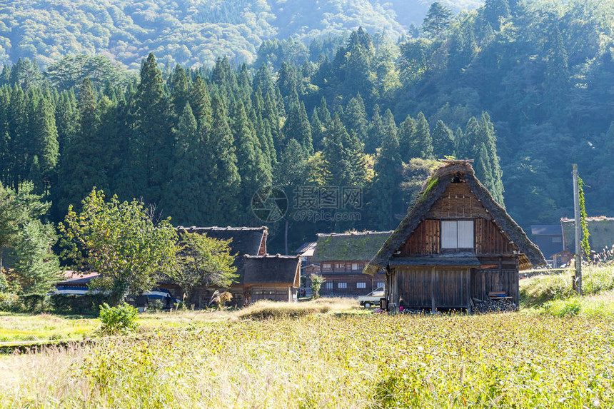 传统日本白川乡村图片