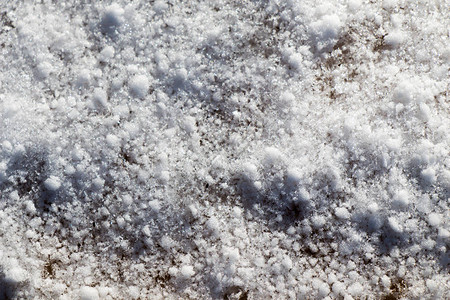 雪冬背景大多为白色背景图片