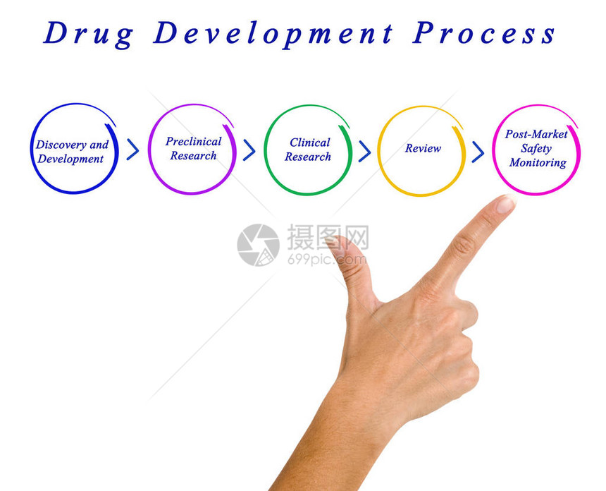 药物开发流程示意图图片