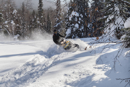 骑着雪地摩托的运动员在南乌拉尔山脉的冬季森林图片