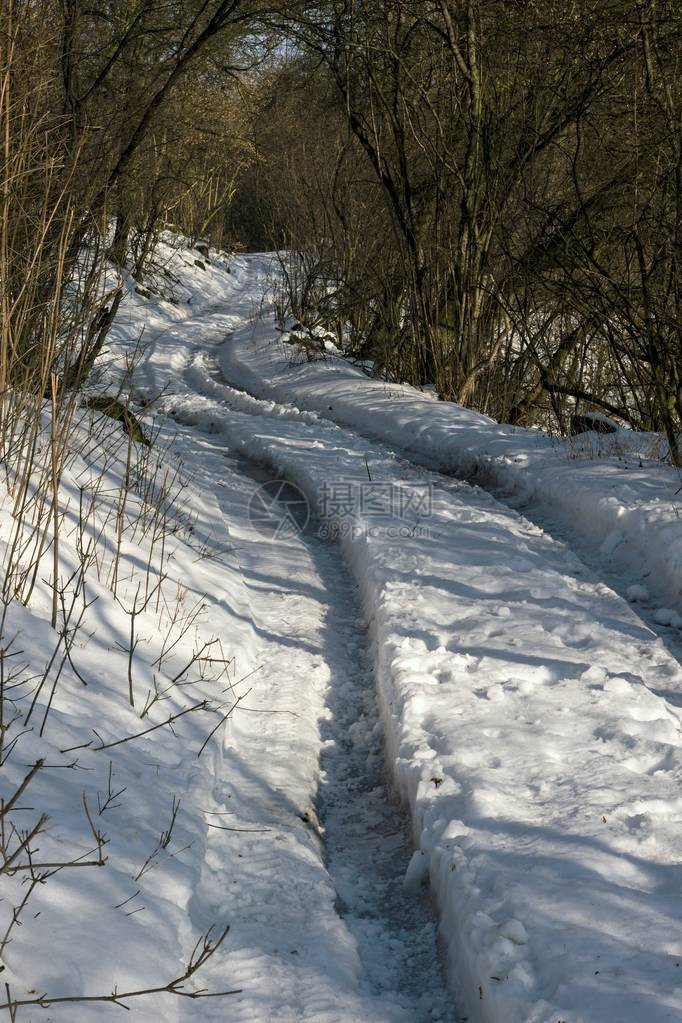 冬天的雪景和森林图片