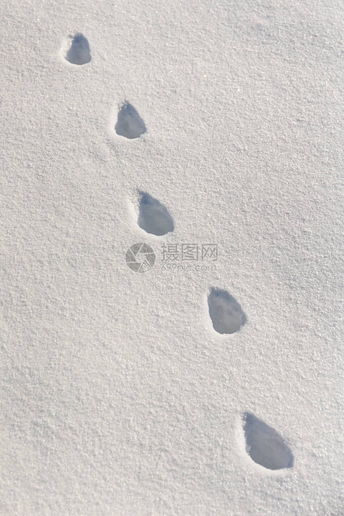 纯白雪地中的抽象脚印图片