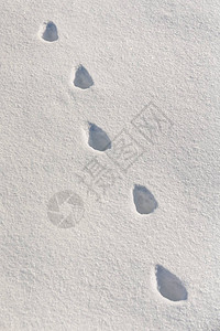 纯白雪地中的抽象脚印图片