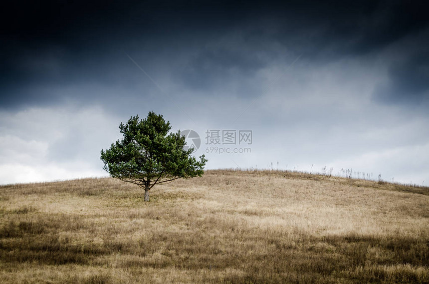 在暴风雨开始之图片