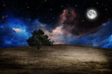 夜晚在明亮的天空下与月亮图片