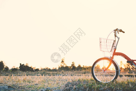 自行车在草地选择和软重图片