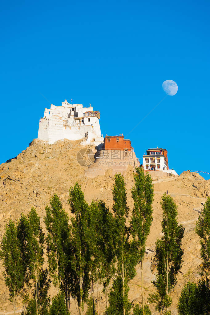 印度拉达赫省莱赫的TsemoCastle和NamgyalTsemoGompa在一座山顶上图片