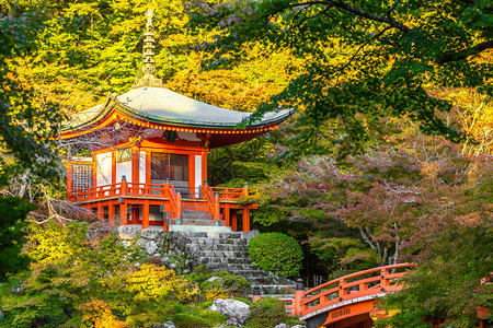 日本京都秋天有五颜六色的枫树的醍醐寺图片