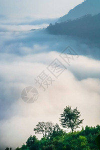 老挝北部山区谷底部的浓云背景图片