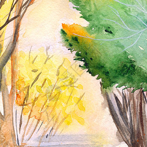 水彩秋天自然树林公园图片