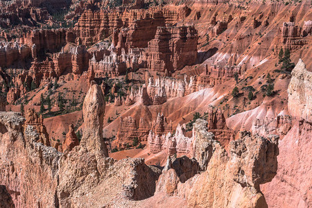 犹他州BryceCanyon公园背景图片