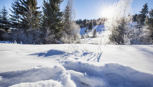 山冬季自然景观图片