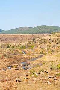 在南非洲河峡谷公园自然保护区图片