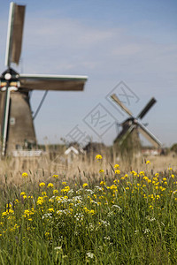 荷兰小孩堤防的风车风景如画图片