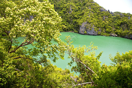 一个绿色泻湖和树的海岸线南海泰国khopha图片