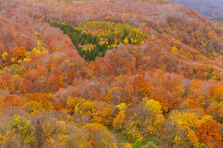 日本美丽的秋景图片